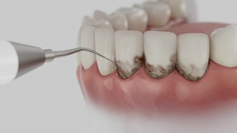 Reliable Dental contractor in Fort Lee, VA by Dentist Open Now